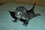 1............2............3...........4...............